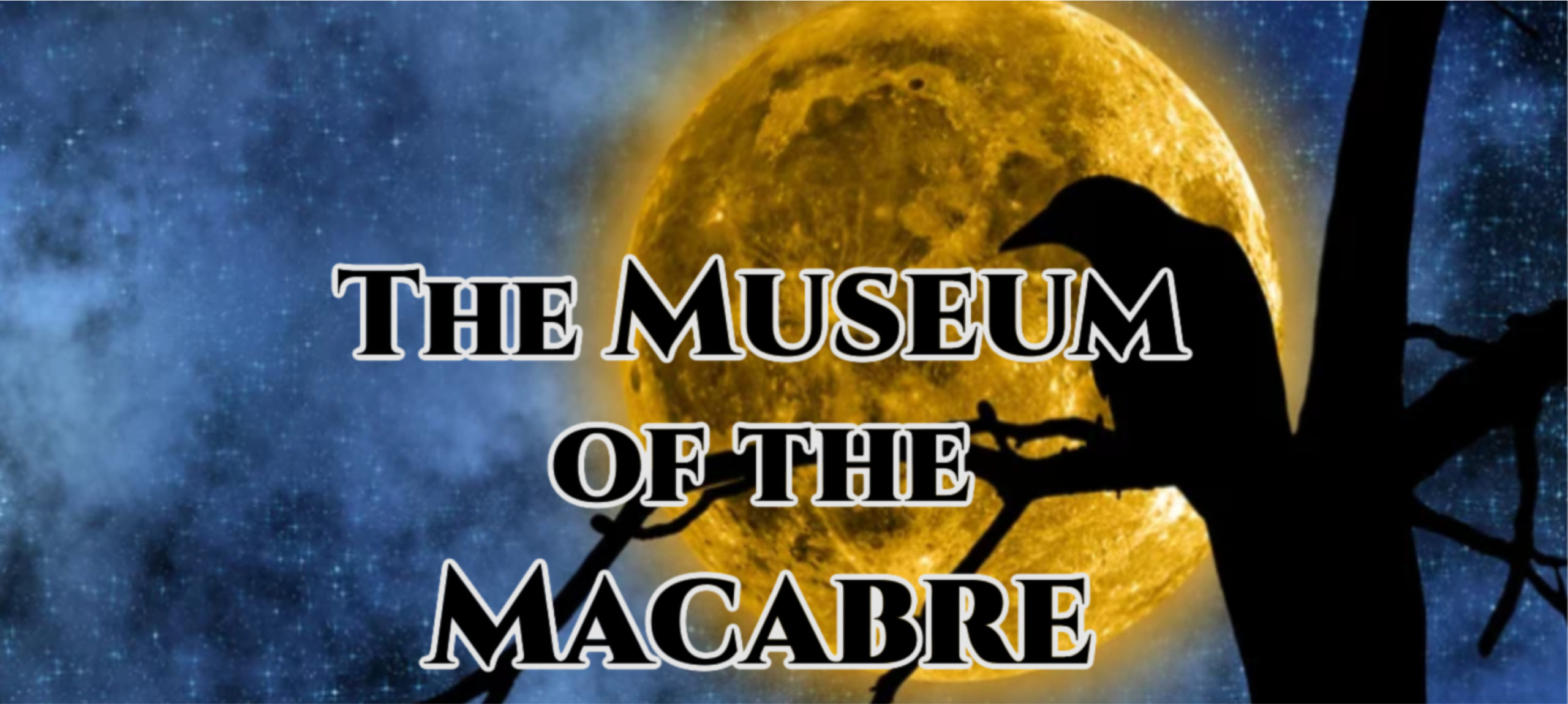 Museum of the Macbre Banner